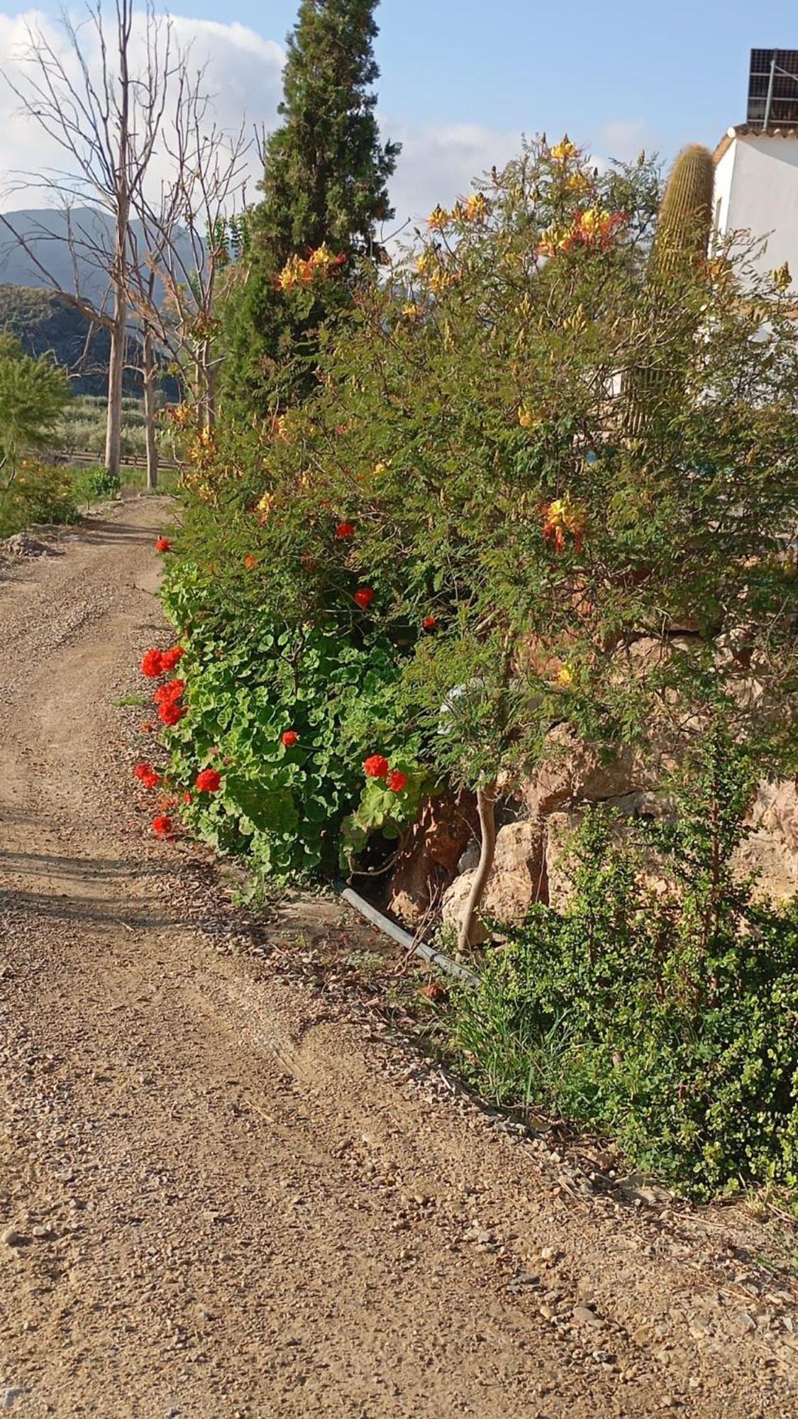 Cortijo Rural Molino El Tarahal Con Piscina Y Zonas Compartidas Exteriér fotografie