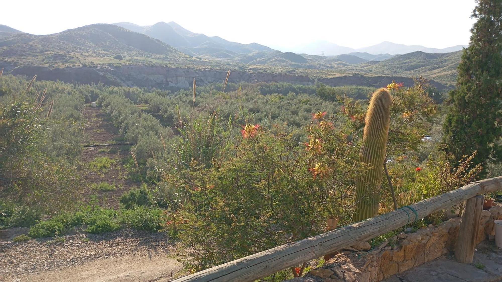 Cortijo Rural Molino El Tarahal Con Piscina Y Zonas Compartidas Exteriér fotografie